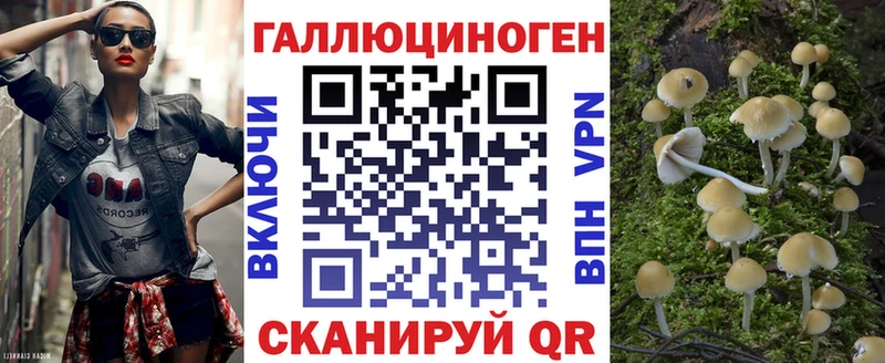 Псилоцибиновые грибы Cubensis Западная Двина